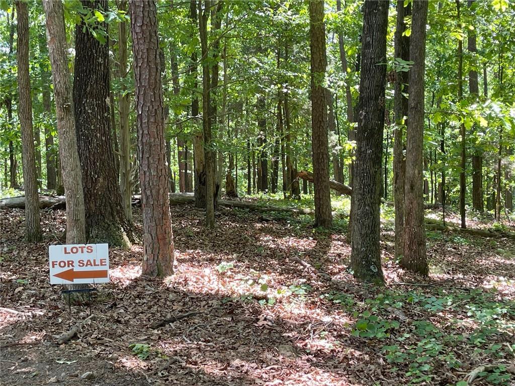 3 Chalcrest Way Cave Spring, GA 30124 - Photo 13 of 57