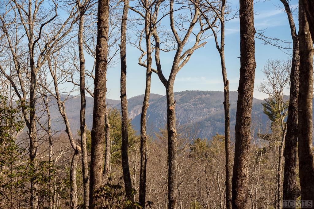 Lot 32 East Ridge Road Cashiers, NC 28717 - Photo 1 of 19 Gallery Image 1