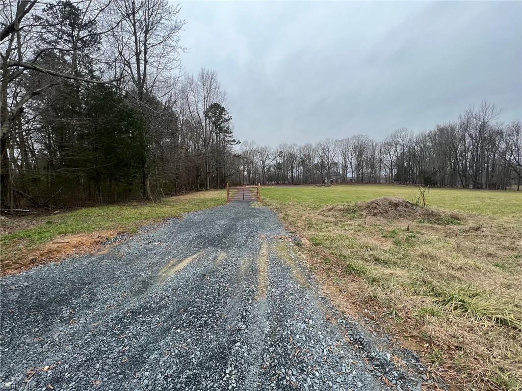 0 Mack Lineberry Road Climax, NC 27233 - Photo 2 of 11 Gallery Image 2