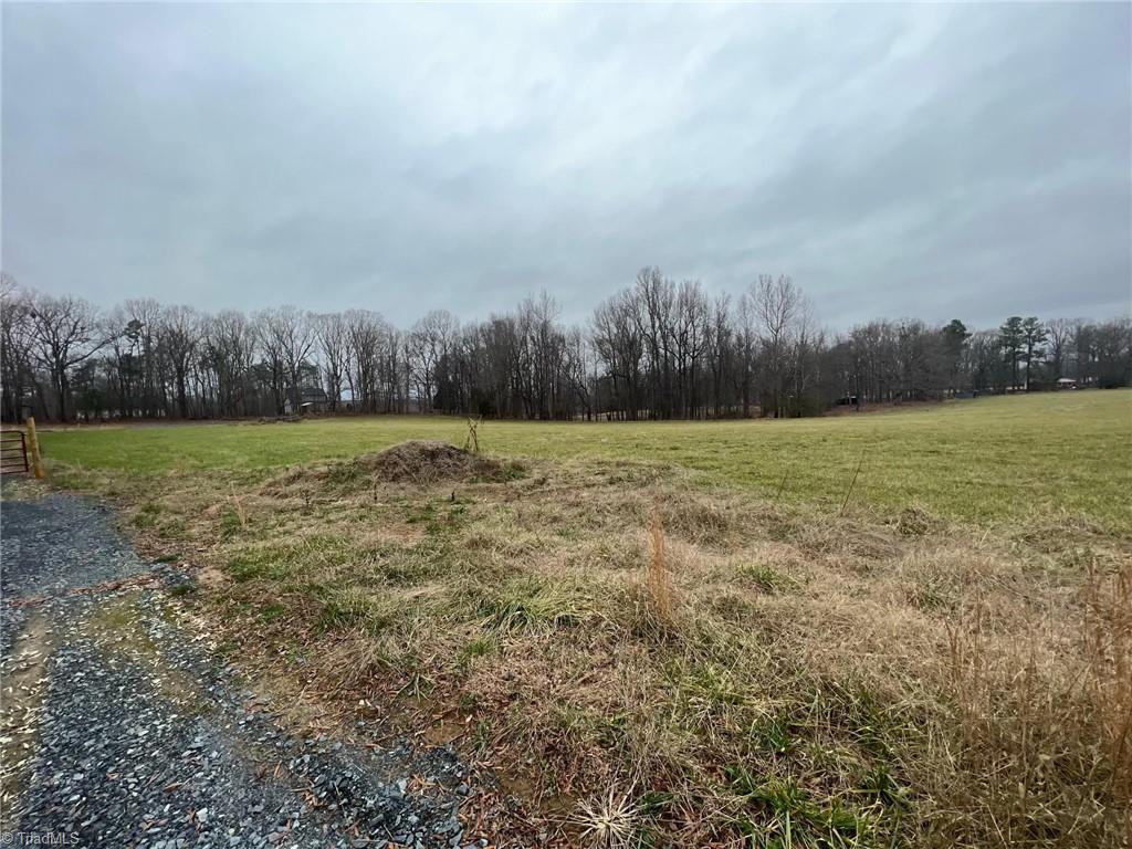 0 Mack Lineberry Road Climax, NC 27233 - Photo 3 of 11 Gallery Image 3
