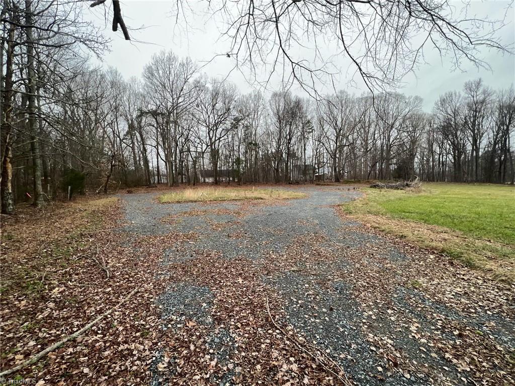 0 Mack Lineberry Road Climax, NC 27233 - Photo 5 of 11 Gallery Image 5
