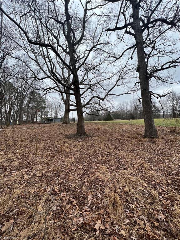 0 Mack Lineberry Road Climax, NC 27233 - Photo 7 of 11 Gallery Image 7
