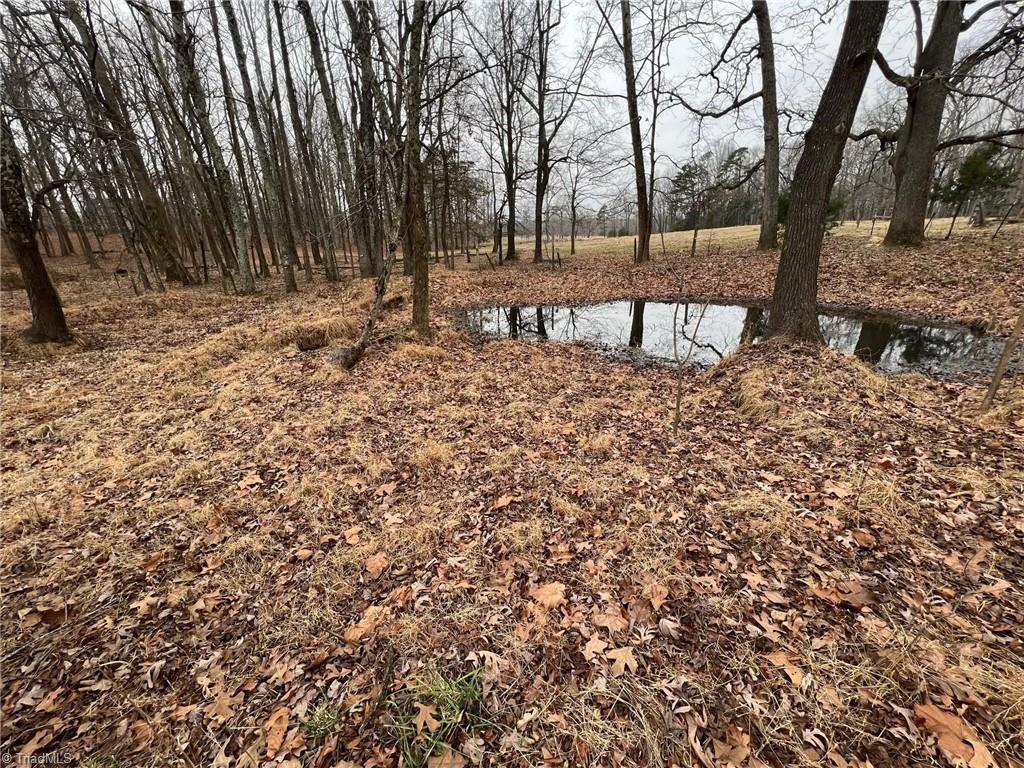 0 Mack Lineberry Road Climax, NC 27233 - Photo 8 of 11 Gallery Image 8