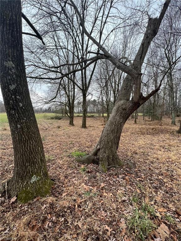 0 Mack Lineberry Road Climax, NC 27233 - Photo 9 of 11 Gallery Image 9