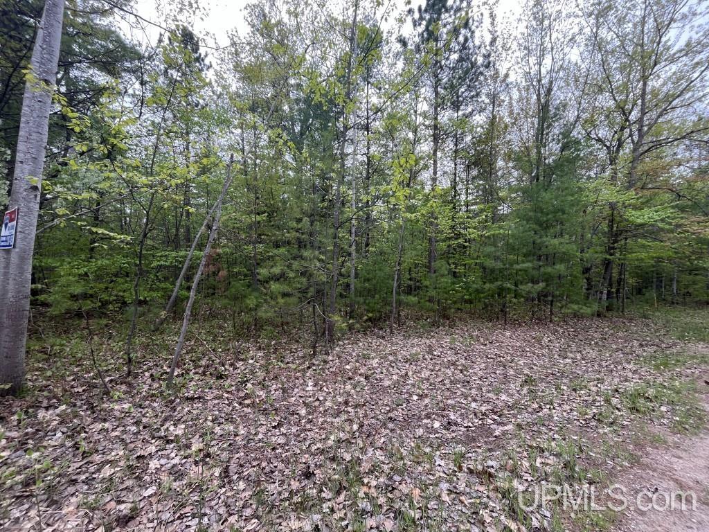 Lot 7 Powell Lake Road Wetmore, MI 49895 - Photo 2 of 16