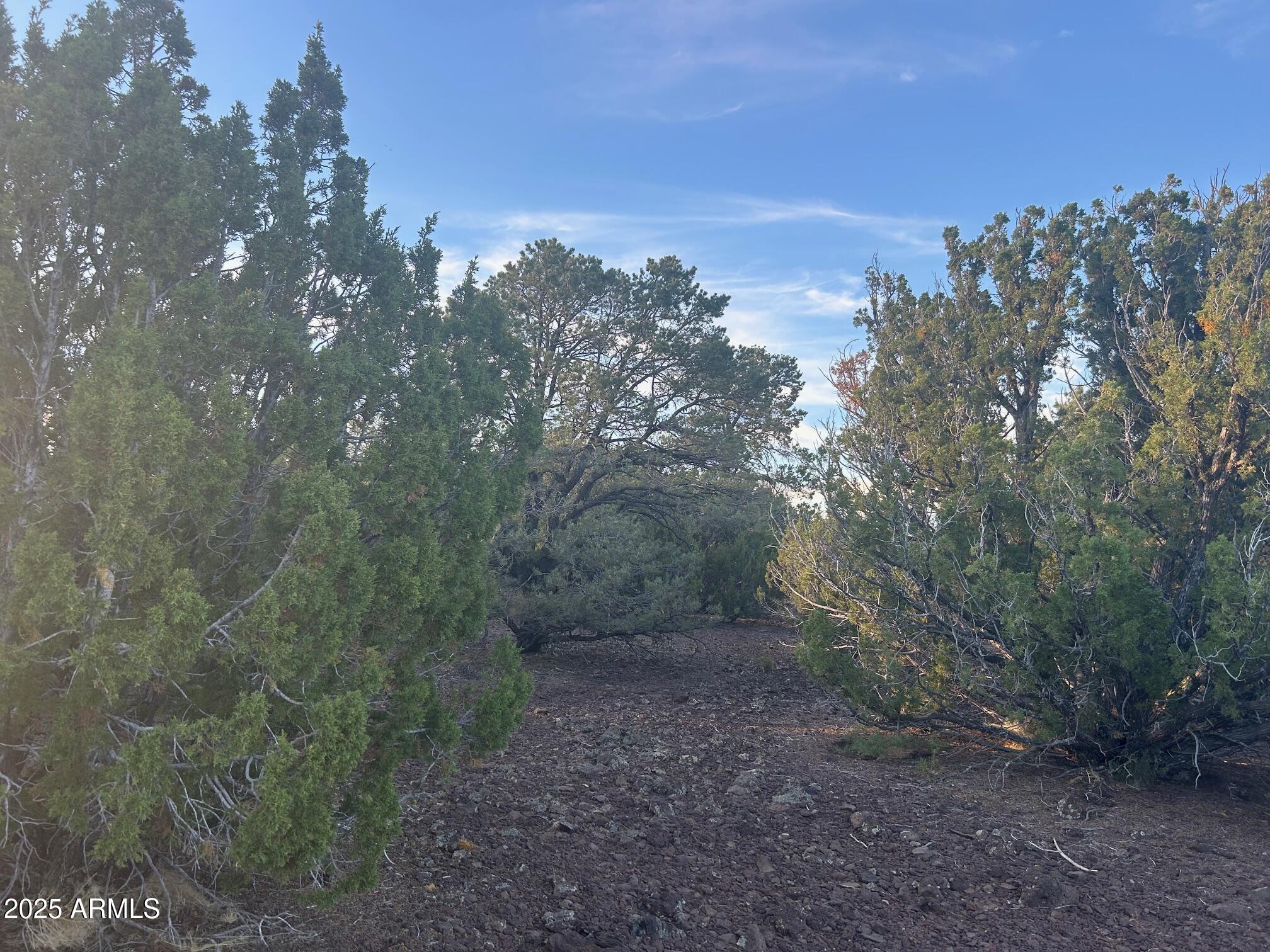 Lot 33 Ridgeview Lane, Unit 33 Concho, AZ 85924 - Photo 12 of 19 IMG_3540