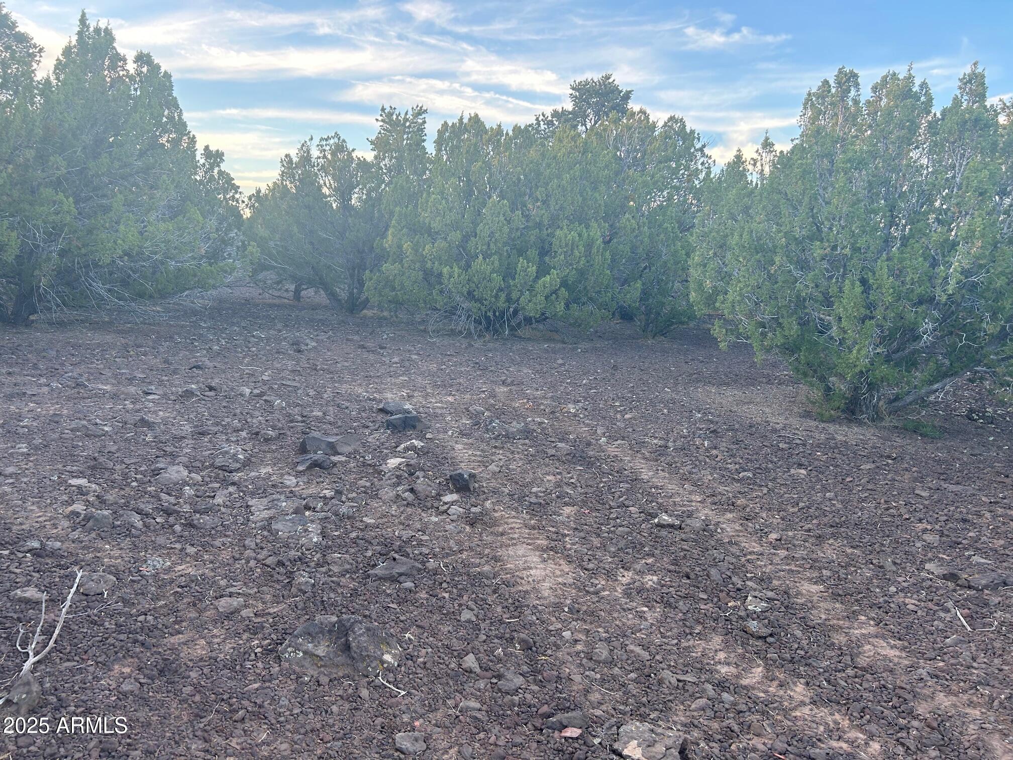 Lot 33 Ridgeview Lane, Unit 33 Concho, AZ 85924 - Photo 13 of 19 IMG_3542