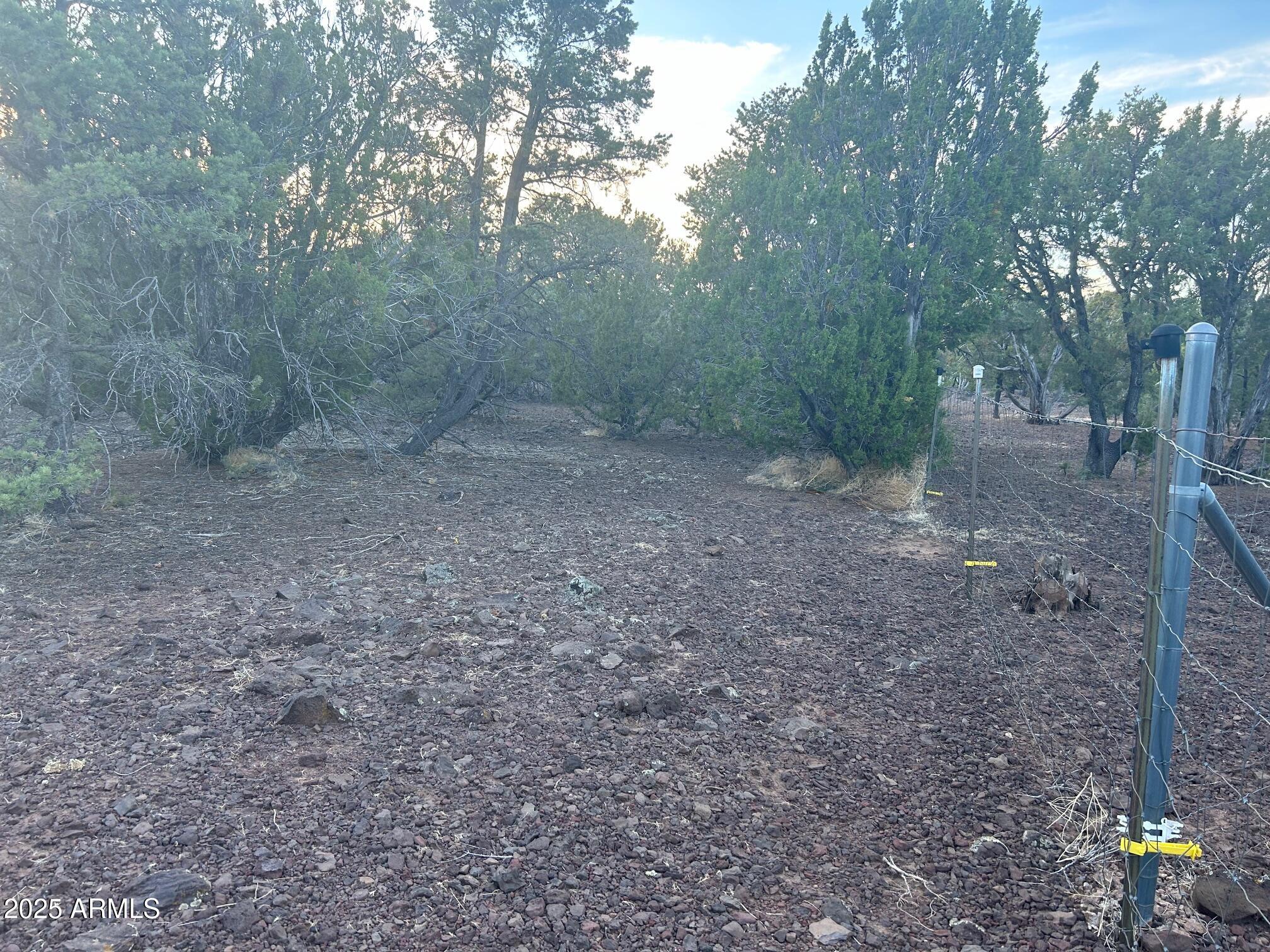 Lot 33 Ridgeview Lane, Unit 33 Concho, AZ 85924 - Photo 15 of 19 IMG_3544