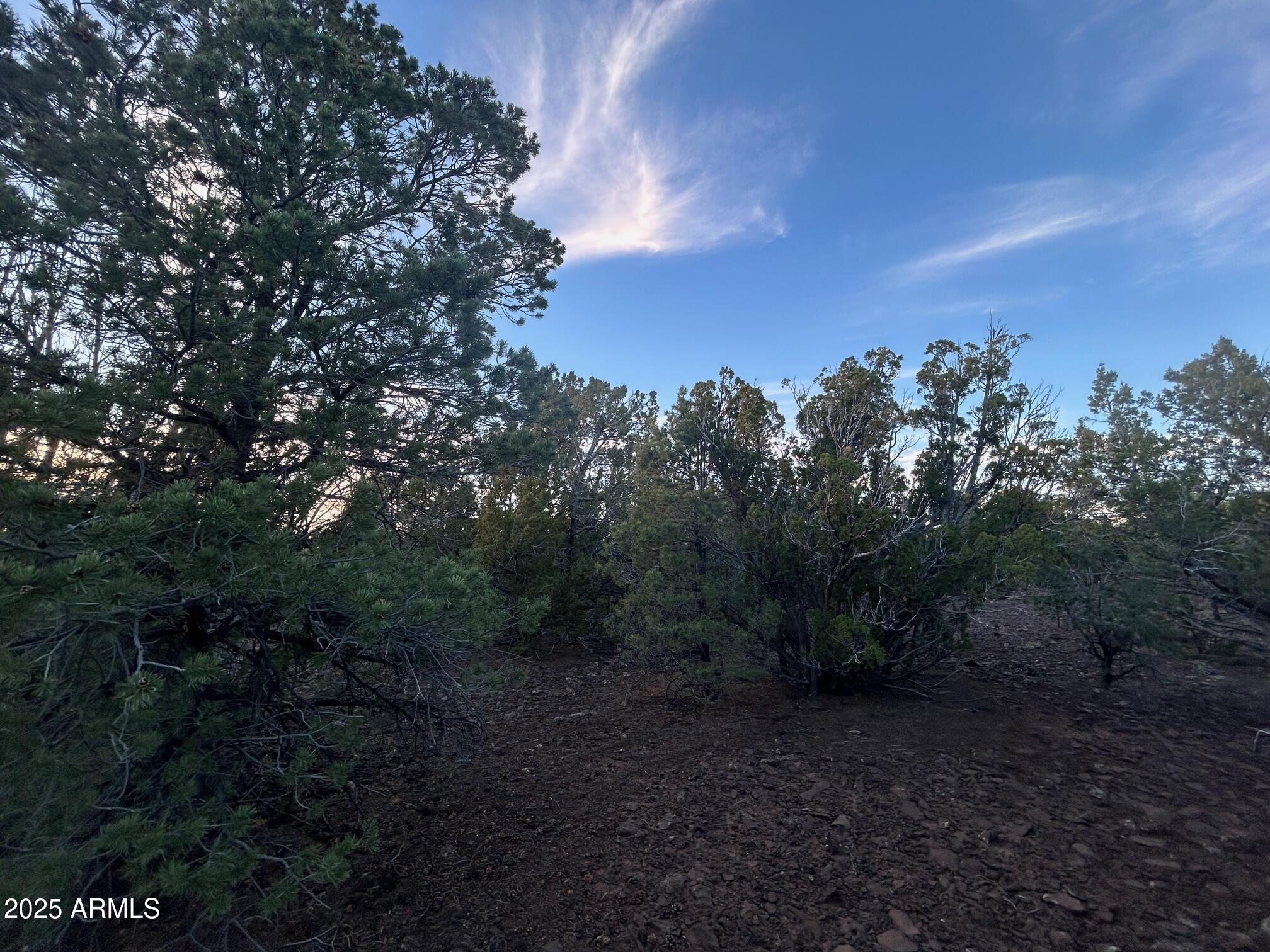 Lot 33 Ridgeview Lane, Unit 33 Concho, AZ 85924 - Photo 16 of 19 IMG_3548