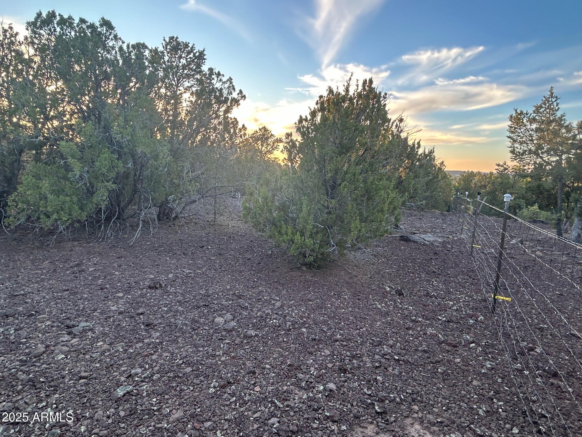 Lot 33 Ridgeview Lane, Unit 33 Concho, AZ 85924 - Photo 17 of 19 IMG_3550