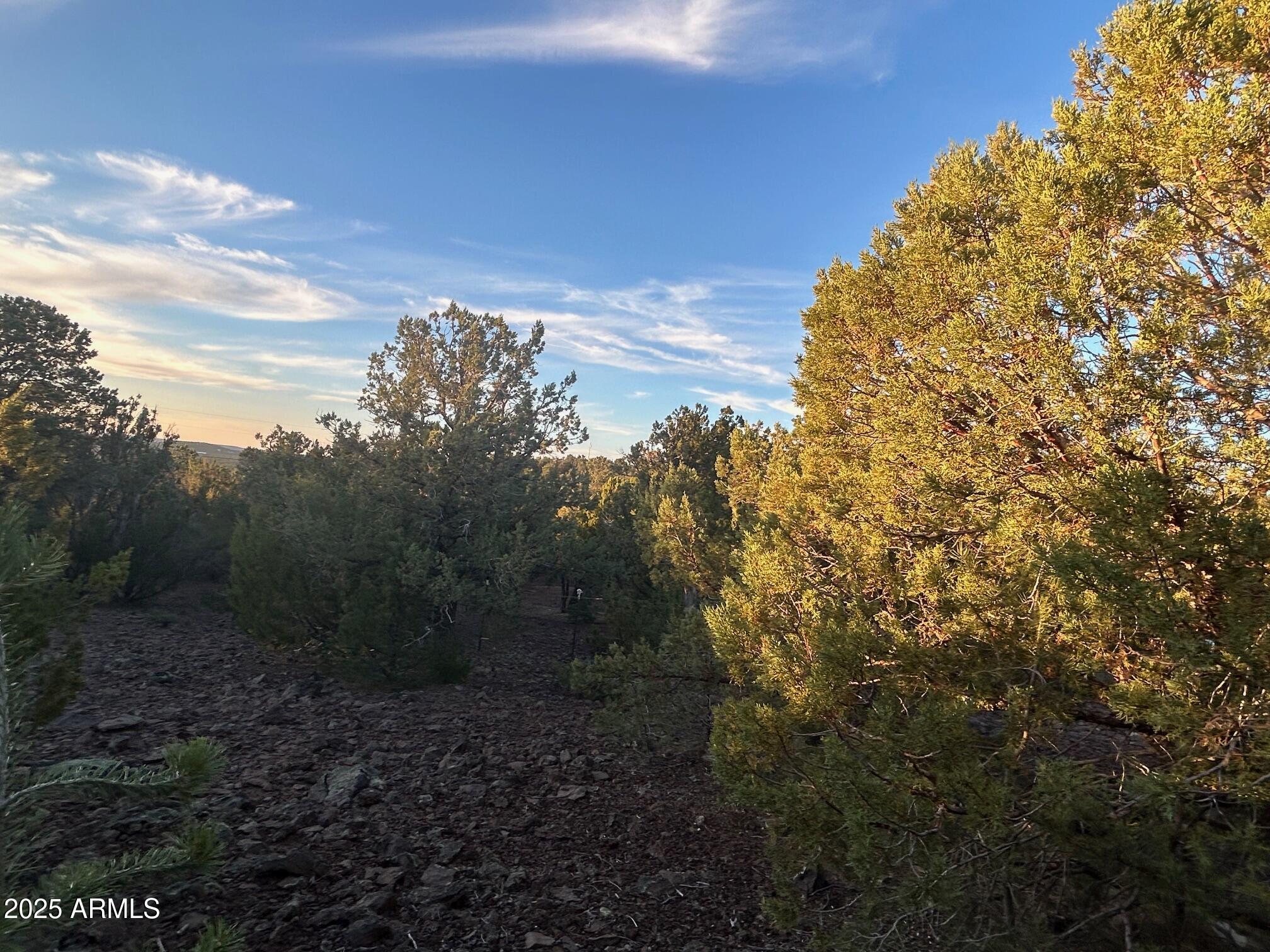 Lot 33 Ridgeview Lane, Unit 33 Concho, AZ 85924 - Photo 18 of 19 IMG_3551
