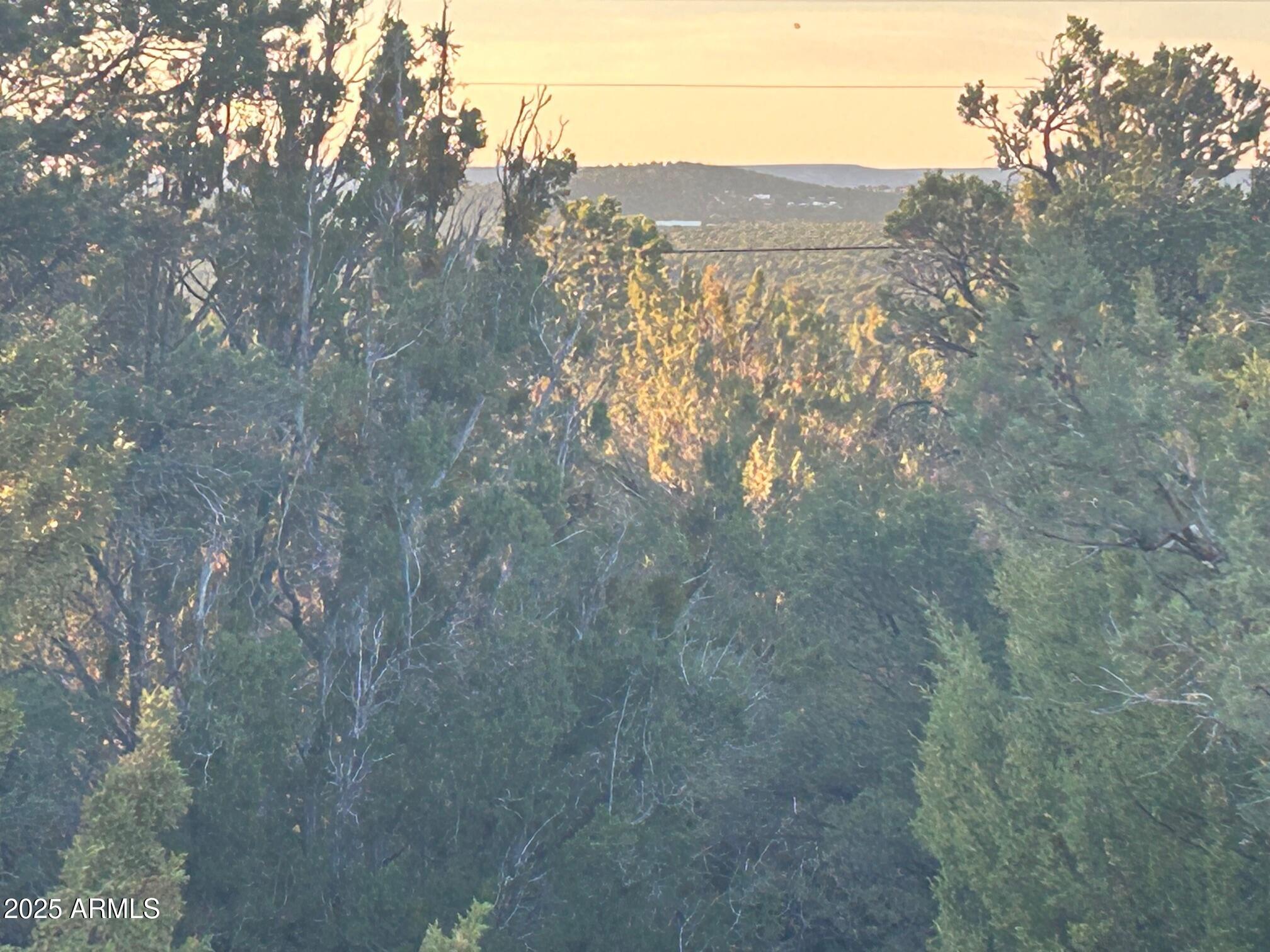 Lot 33 Ridgeview Lane, Unit 33 Concho, AZ 85924 - Photo 19 of 19 IMG_3552
