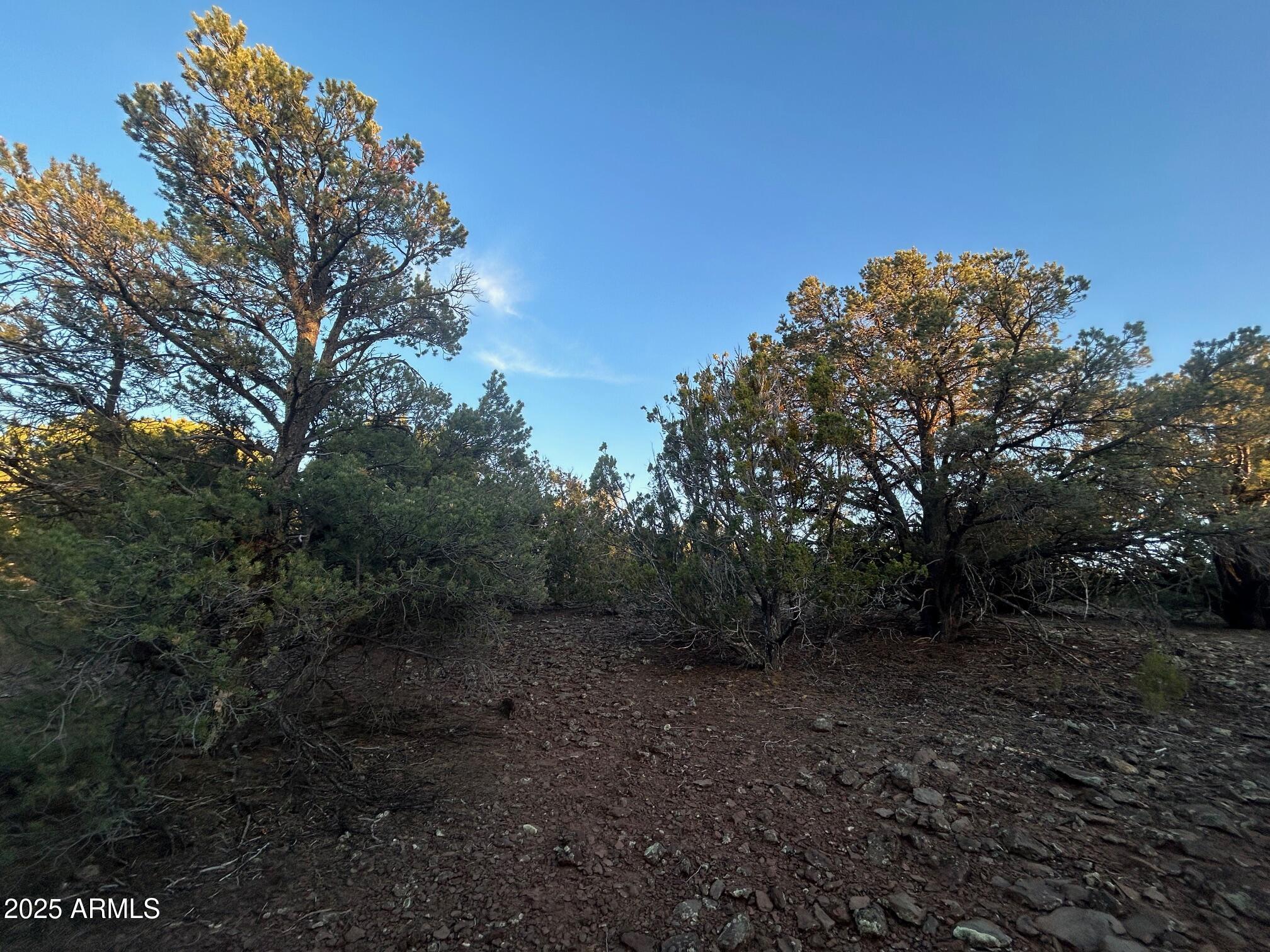 Lot 33 Ridgeview Lane, Unit 33 Concho, AZ 85924 - Photo 2 of 19 IMG_3554