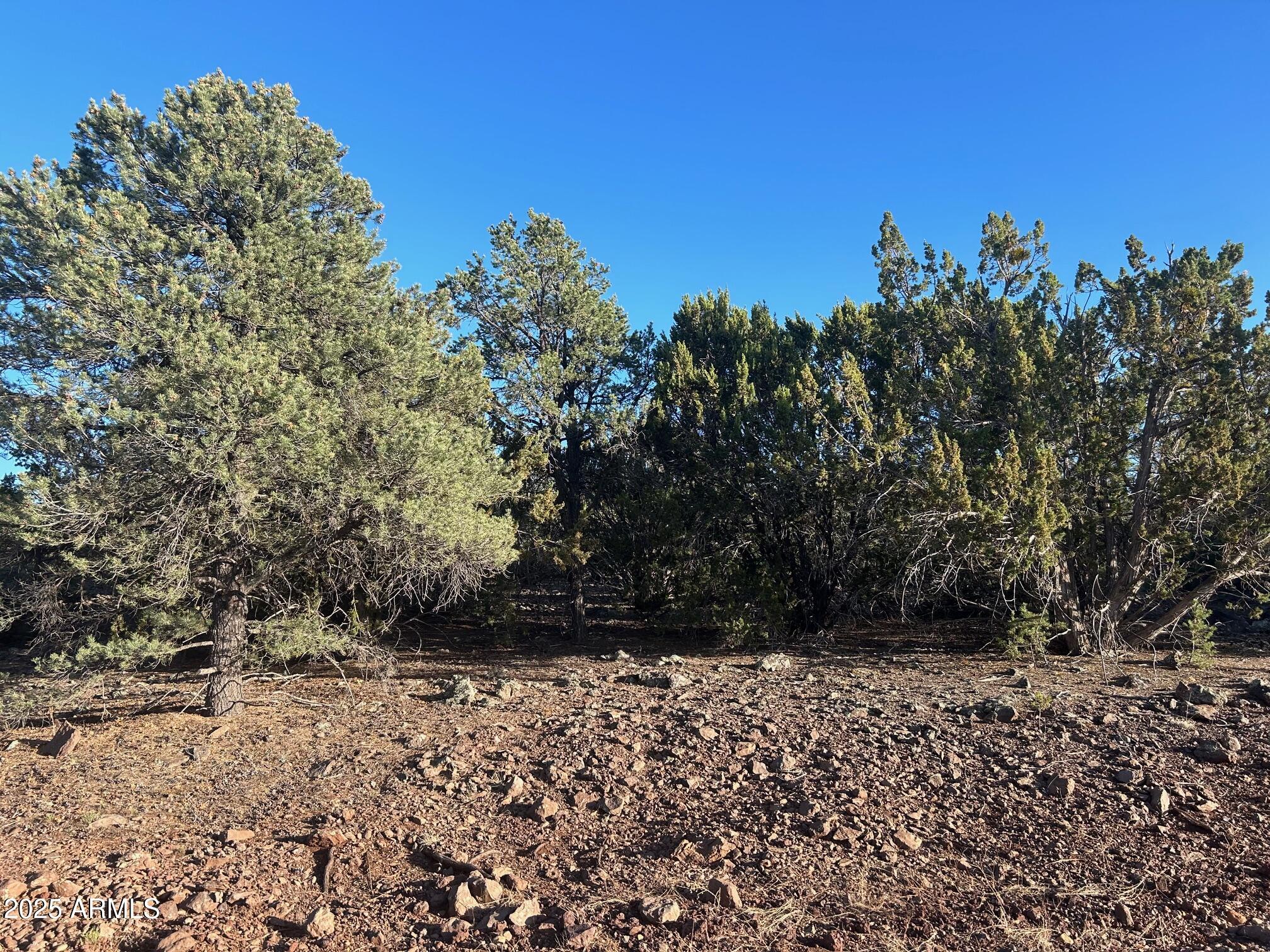 Lot 33 Ridgeview Lane, Unit 33 Concho, AZ 85924 - Photo 3 of 19 IMG_3527