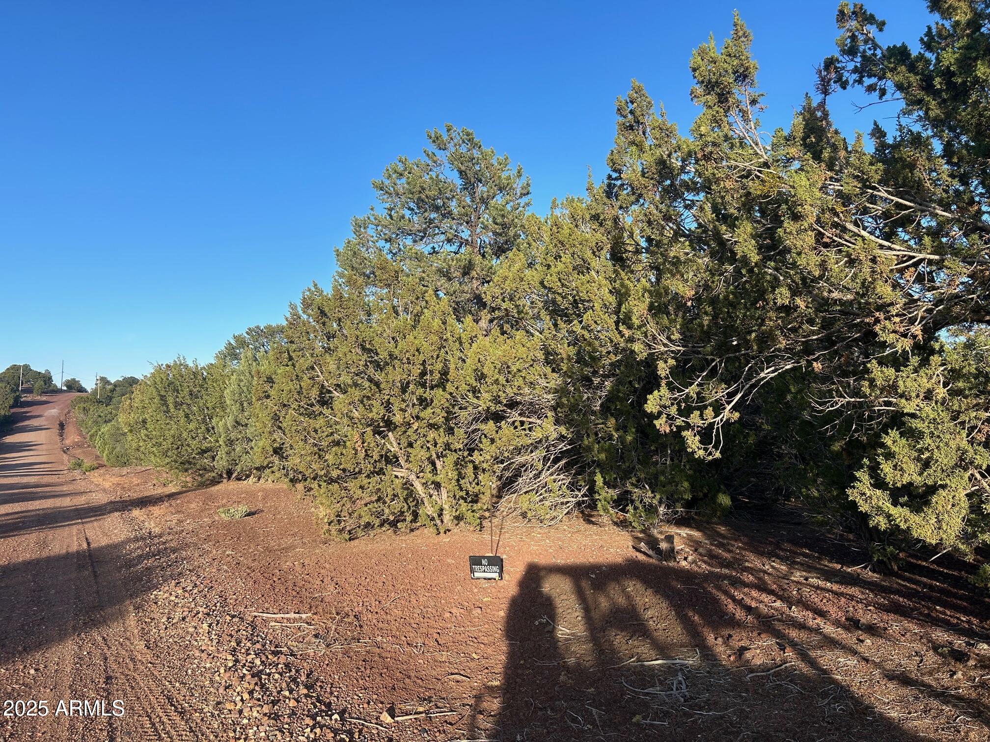 Lot 33 Ridgeview Lane, Unit 33 Concho, AZ 85924 - Photo 5 of 19 IMG_3529
