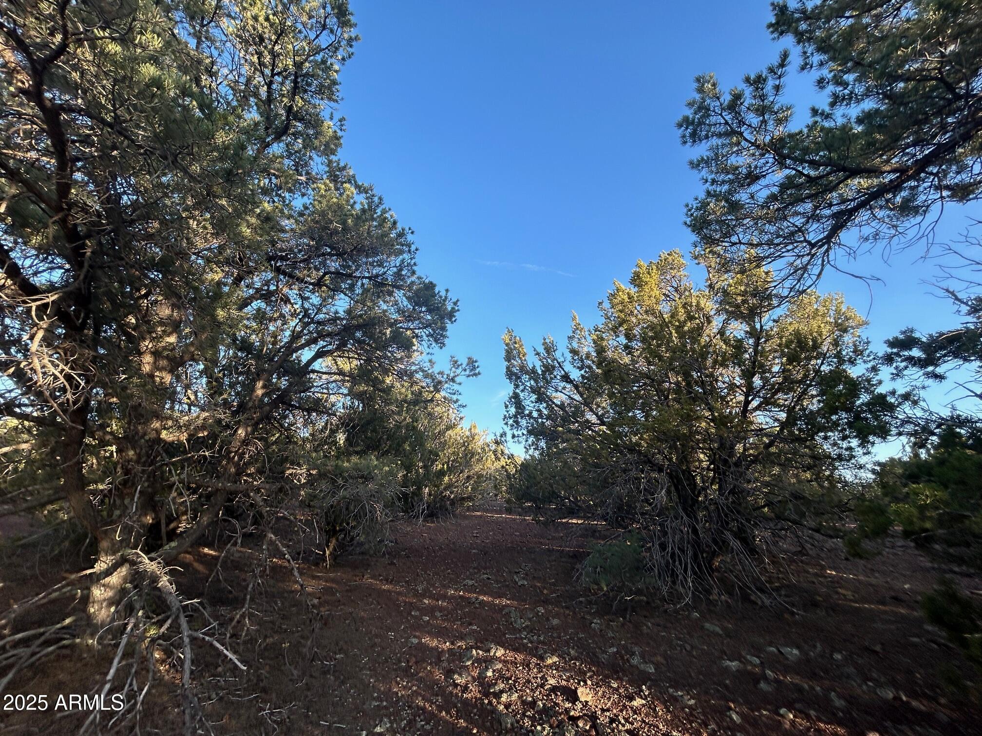 Lot 33 Ridgeview Lane, Unit 33 Concho, AZ 85924 - Photo 6 of 19 IMG_3531