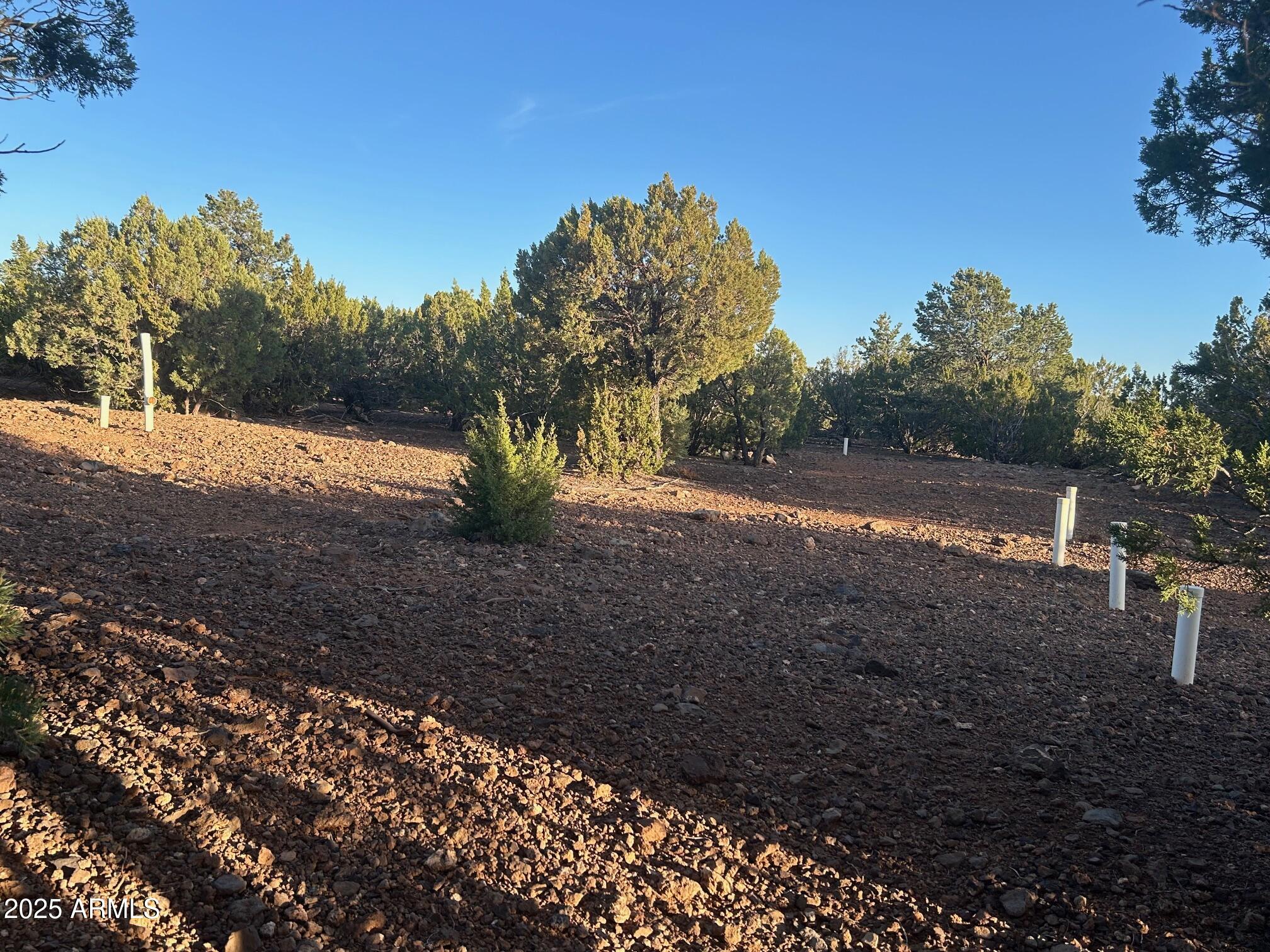 Lot 33 Ridgeview Lane, Unit 33 Concho, AZ 85924 - Photo 8 of 19 IMG_3535