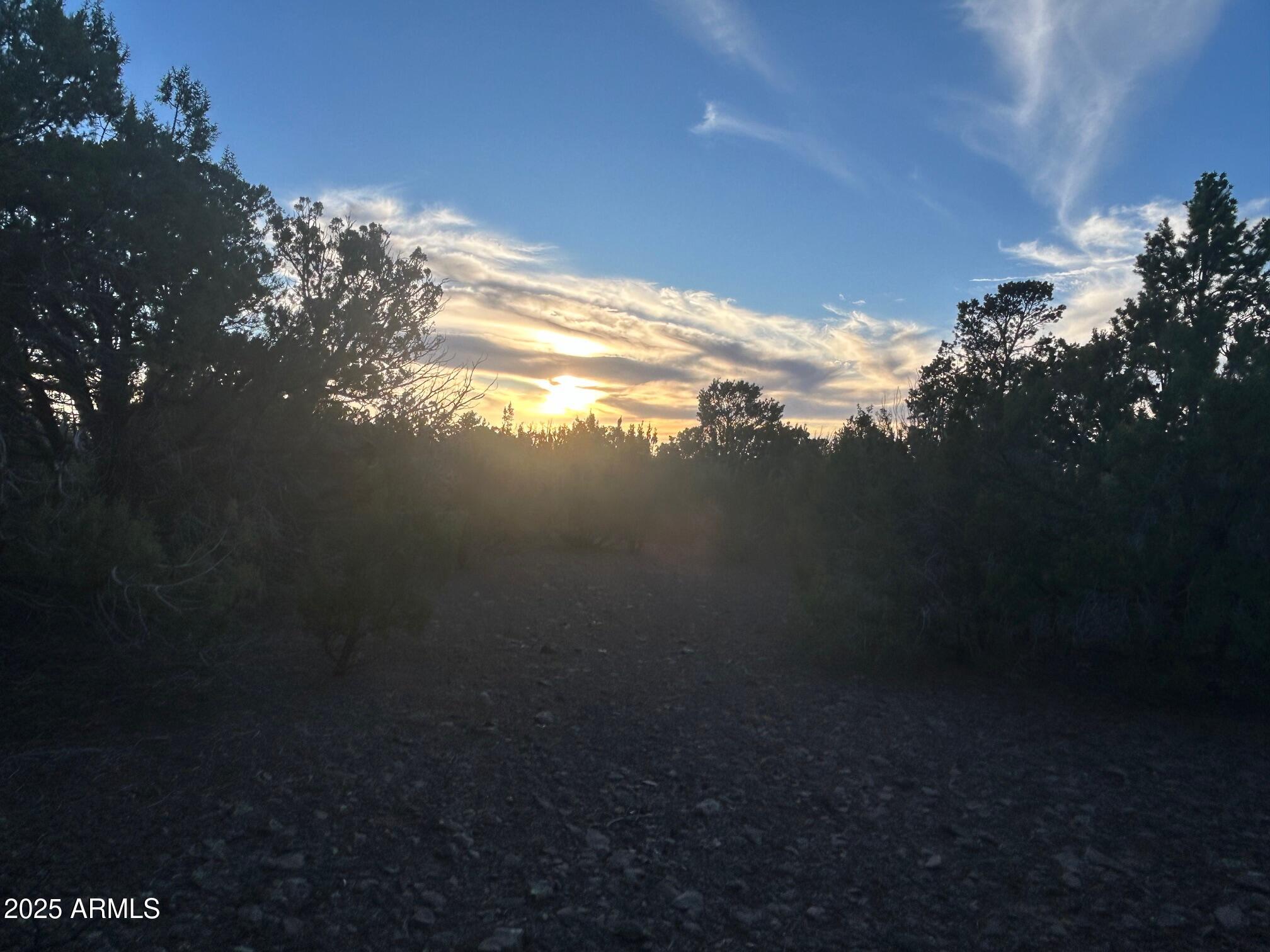 Lot 33 Ridgeview Lane, Unit 33 Concho, AZ 85924 - Photo 10 of 19 IMG_3547