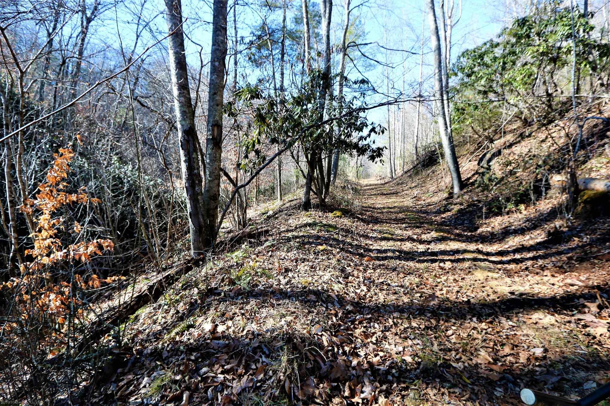 392 Elephant Curve Road Northwest Floyd, VA 24091 - Photo 27 of 27 Gallery Image 27