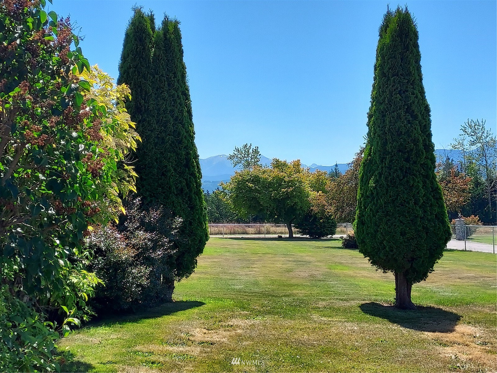 150 Donaper Road Sequim, WA 98382 - Photo 25 of 25 a view of a garden