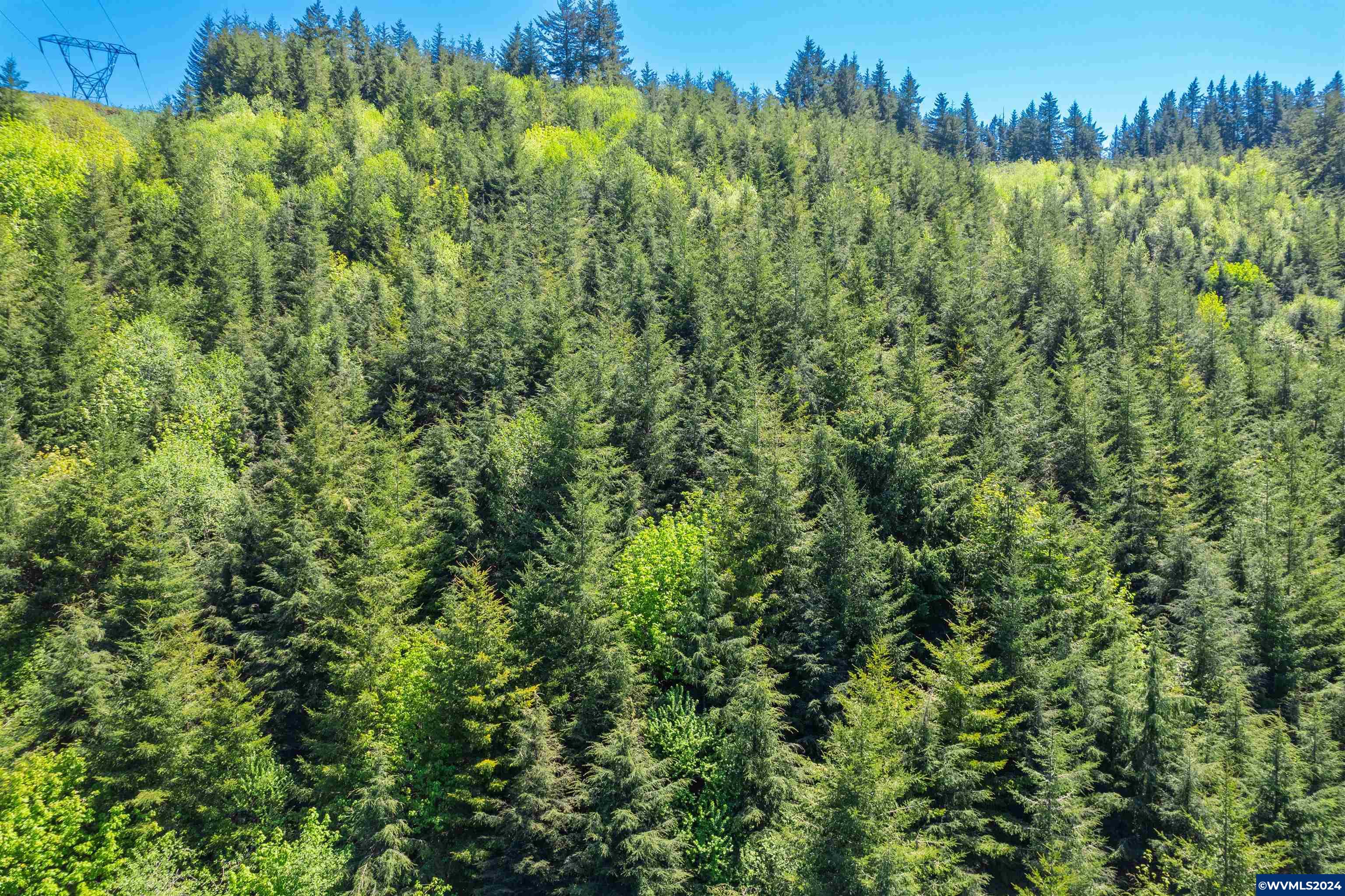 0 Harlan Road Toledo, OR 97391 - Photo 22 of 27