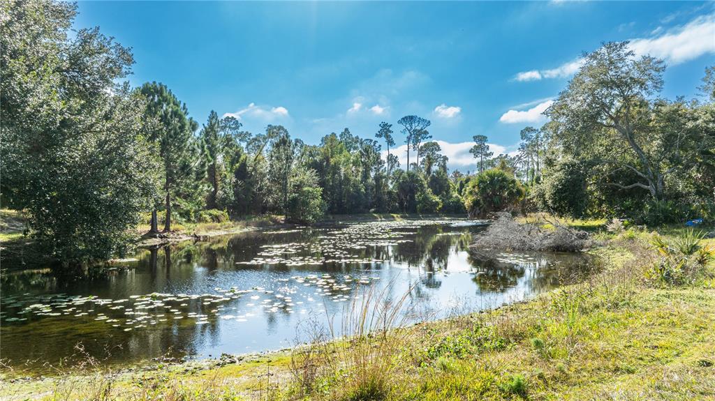 7970 Bannon Fish Camp Road Haines City, FL 33844 - Photo 40 of 73