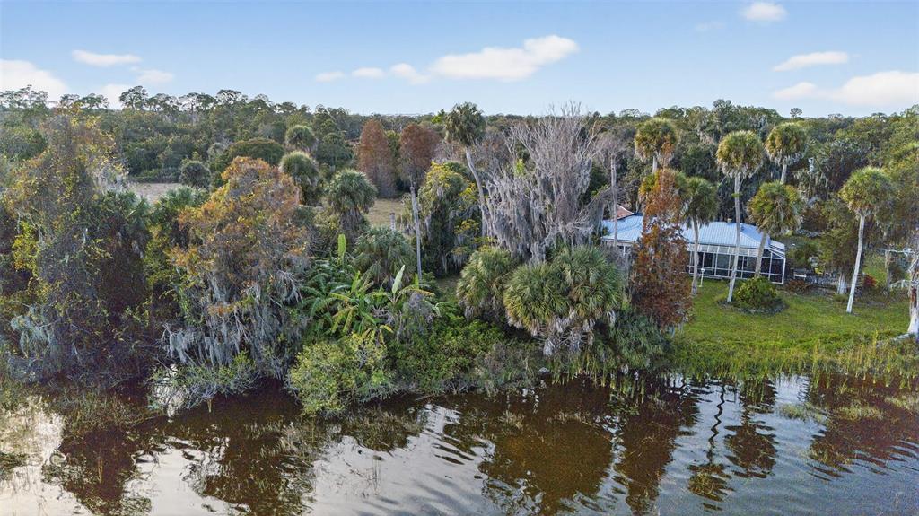 7970 Bannon Fish Camp Road Haines City, FL 33844 - Photo 54 of 73 a view of a garden with mountain