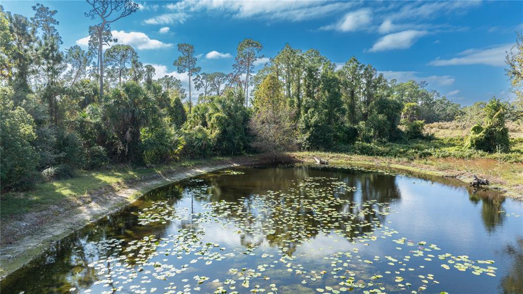 7970 Bannon Fish Camp Road Haines City, FL 33844 - Photo 56 of 73