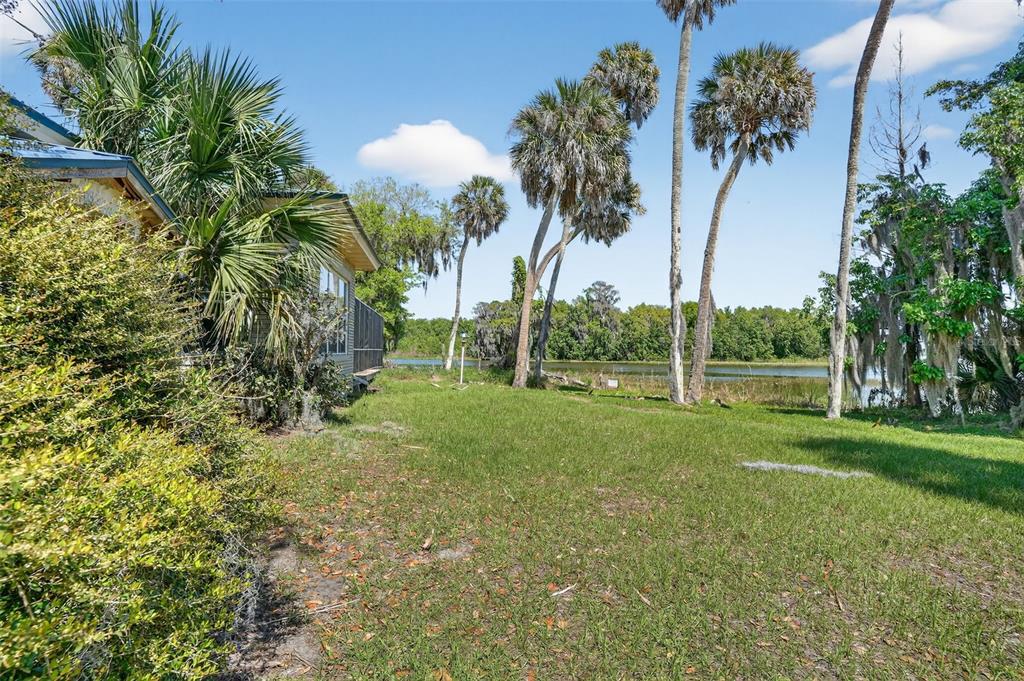 7970 Bannon Fish Camp Road Haines City, FL 33844 - Photo 68 of 73 a view of a garden with a tree