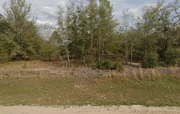 $14,000 | Tbd Marion Avenue, Interlachen, FL 32148