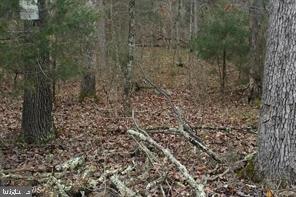 0 Panhandle Road Bentonville, VA 22610 - Photo 2 of 2 Build your dream home