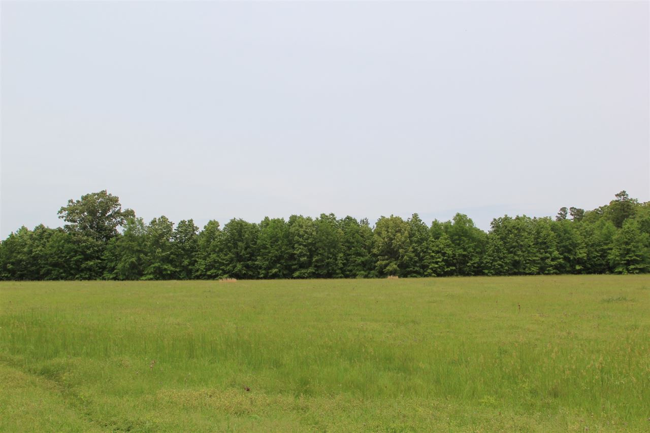 0 Jefferson Road West Houlka, MS 38850 - Photo 11 of 12 Photo 11