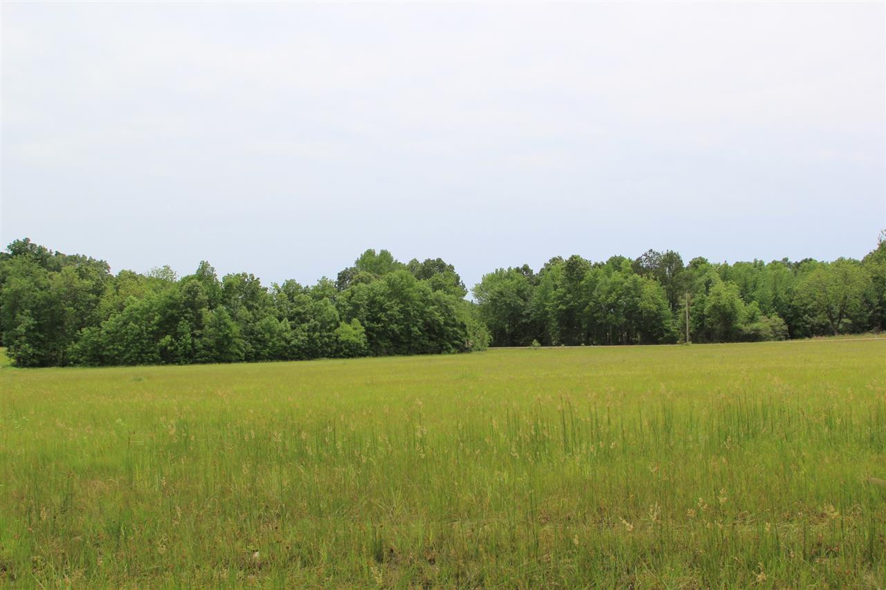 0 Jefferson Road West Houlka, MS 38850 - Photo 9 of 12 Photo 9