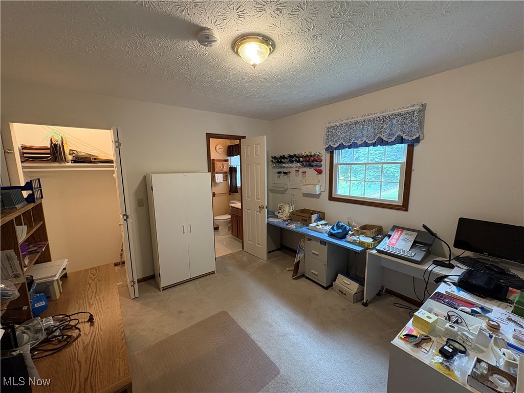 9220 Cherry Road Vermilion, OH 44089 - Photo 16 of 41 Bedroom #3 currently used as an office