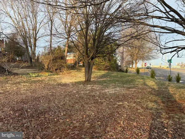 a view of yard with trees