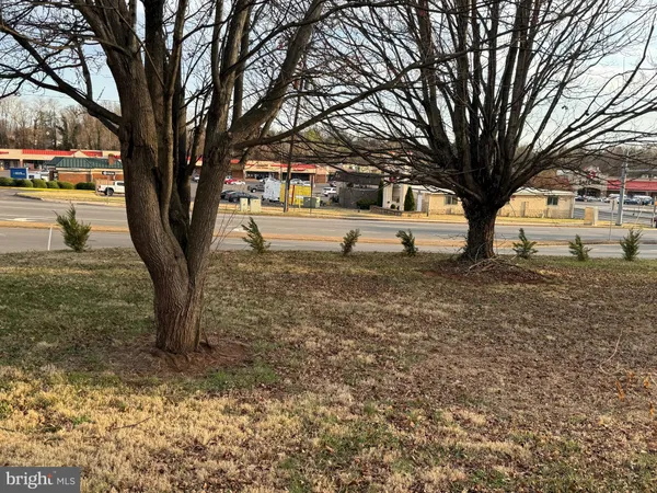 a tree in the middle of a yard