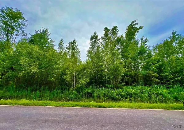 $52,300 | Lot 20 Forest Ridge Drive, Rome, NY 13440