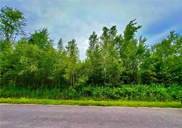 $52,300 | Lot 20 Forest Ridge Drive, Rome, NY 13440
