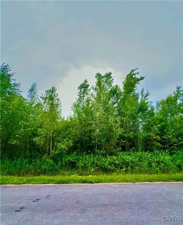 $52,300 | Lot 20 Forest Ridge Drive, Rome, NY 13440
