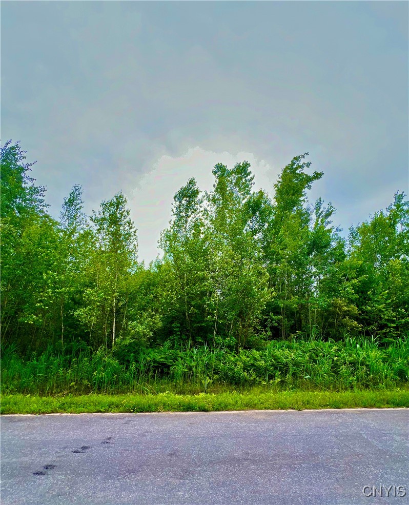 Lot 20 Forest Ridge Drive Rome, NY 13440 - Photo 3 of 6