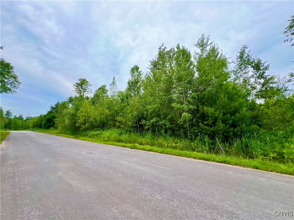 Lot 20 Forest Ridge Drive Rome, NY 13440 - Photo 4 of 6