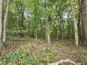 $12,000 | -lot 22 Dally Road, Coal Center, PA 15423