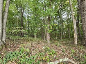 -lot 22 Dally Road Coal Center, PA 15423 - Photo 2 of 2 a view of outdoor space and green space