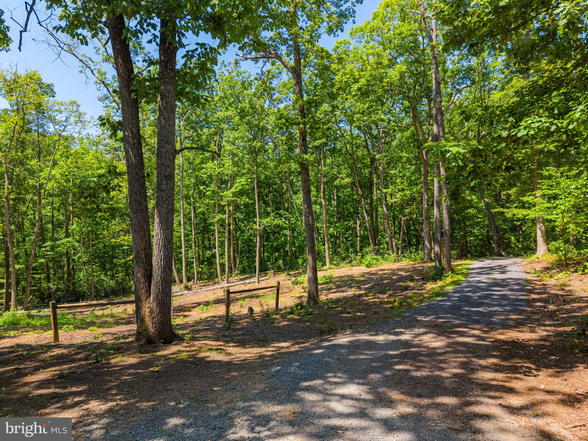 10275 Mountain Run Lake Road Culpeper, VA 22701 - Photo 6 of 89