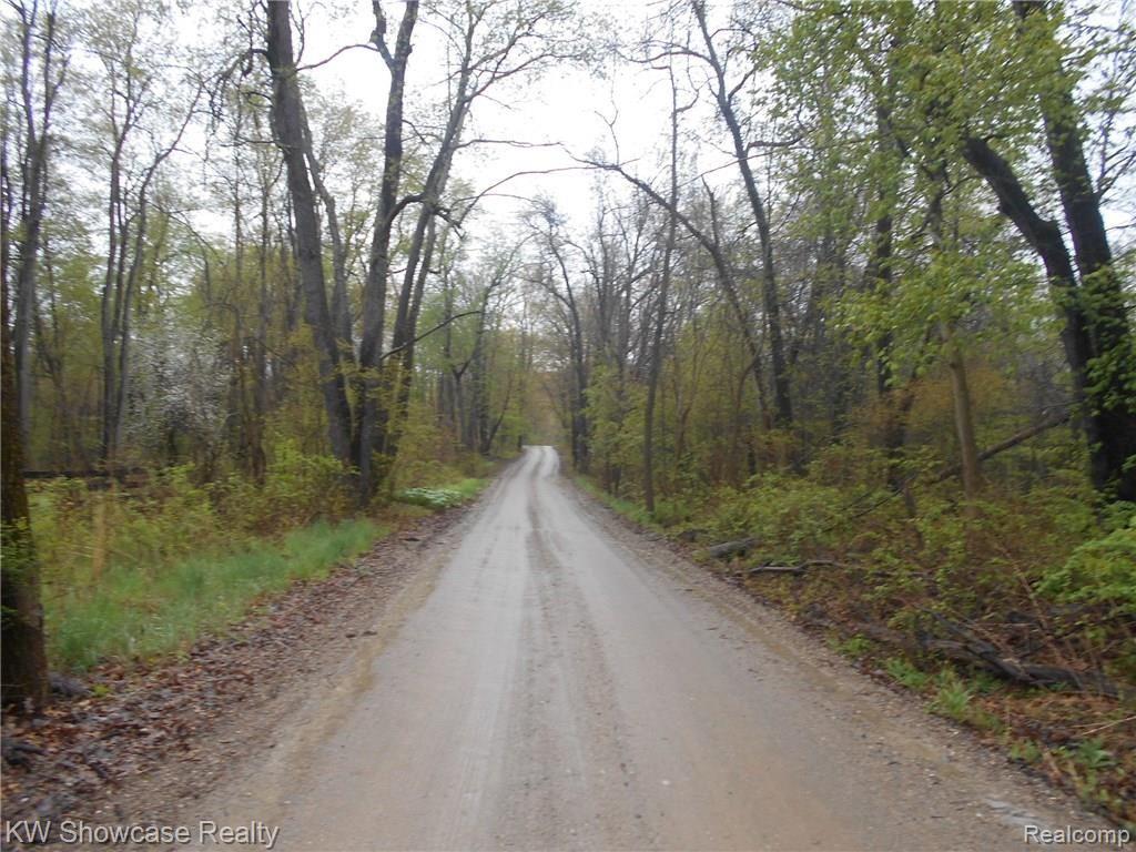 5464 Blood Road Metamora, MI 48455 - Photo 11 of 14