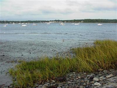 91 Swifts Beach Road Wareham, MA 02571 - Photo 8 of 8 Additional Photo