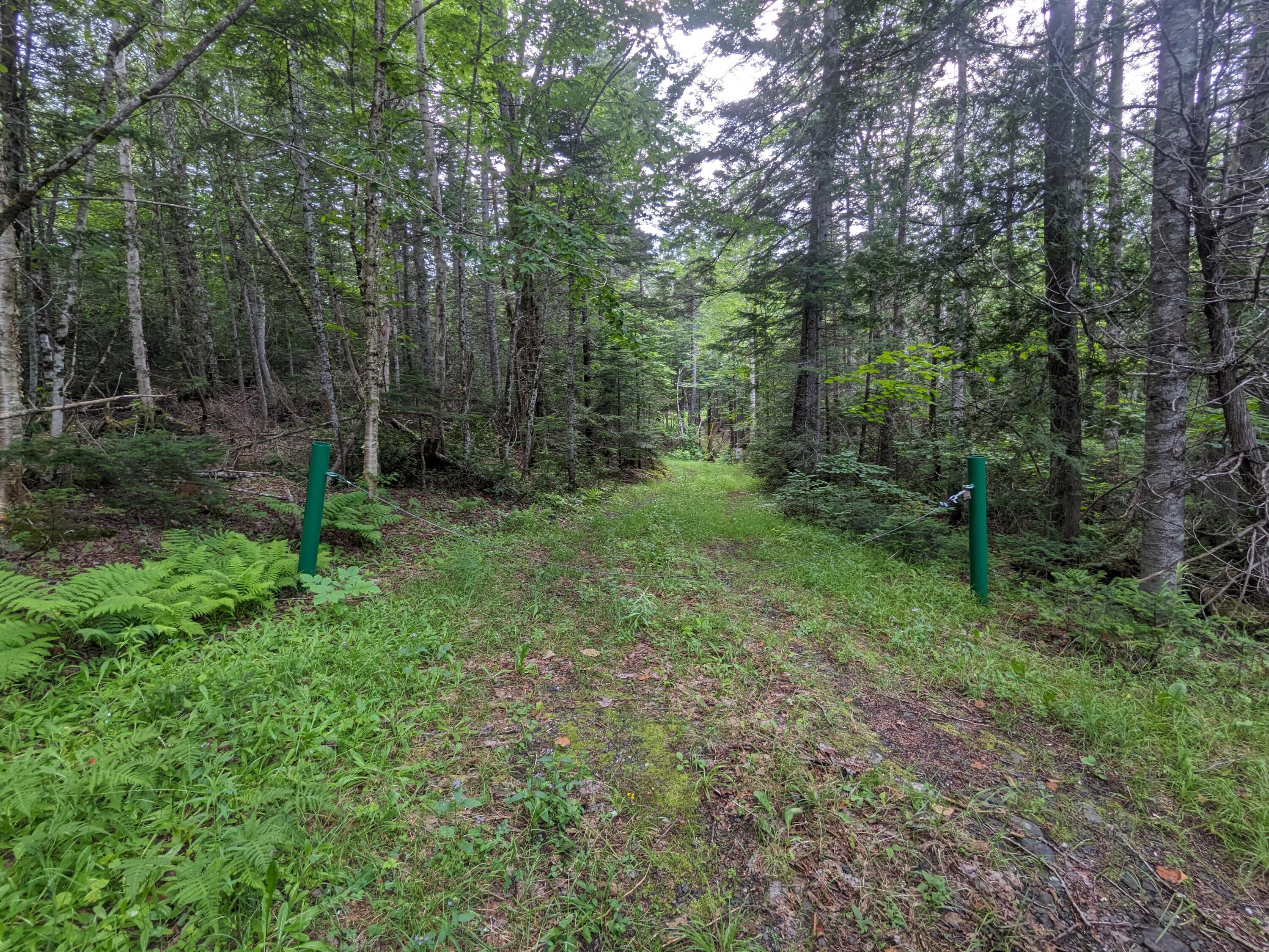2 Greenville Road Shirley Mills, ME 04485 - Photo 10 of 40 PXL_20230715_212334450