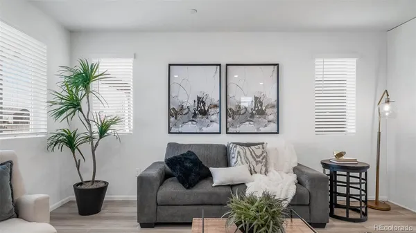 a living room with furniture potted plant and a window