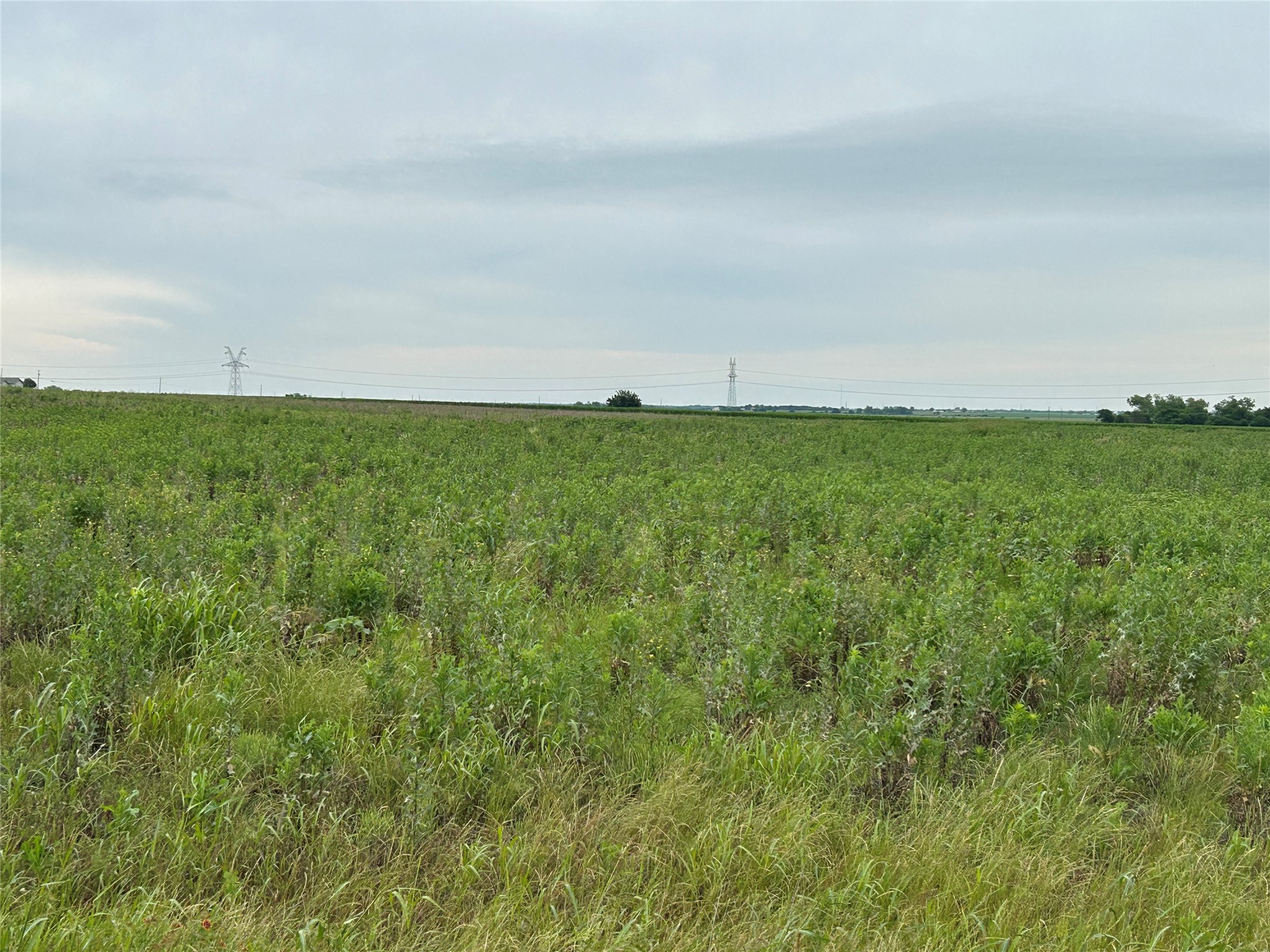 Tbd Gooseneck Road Bartlett, TX 76511 - Photo 5 of 6 Expansive open land with varied green vegetation