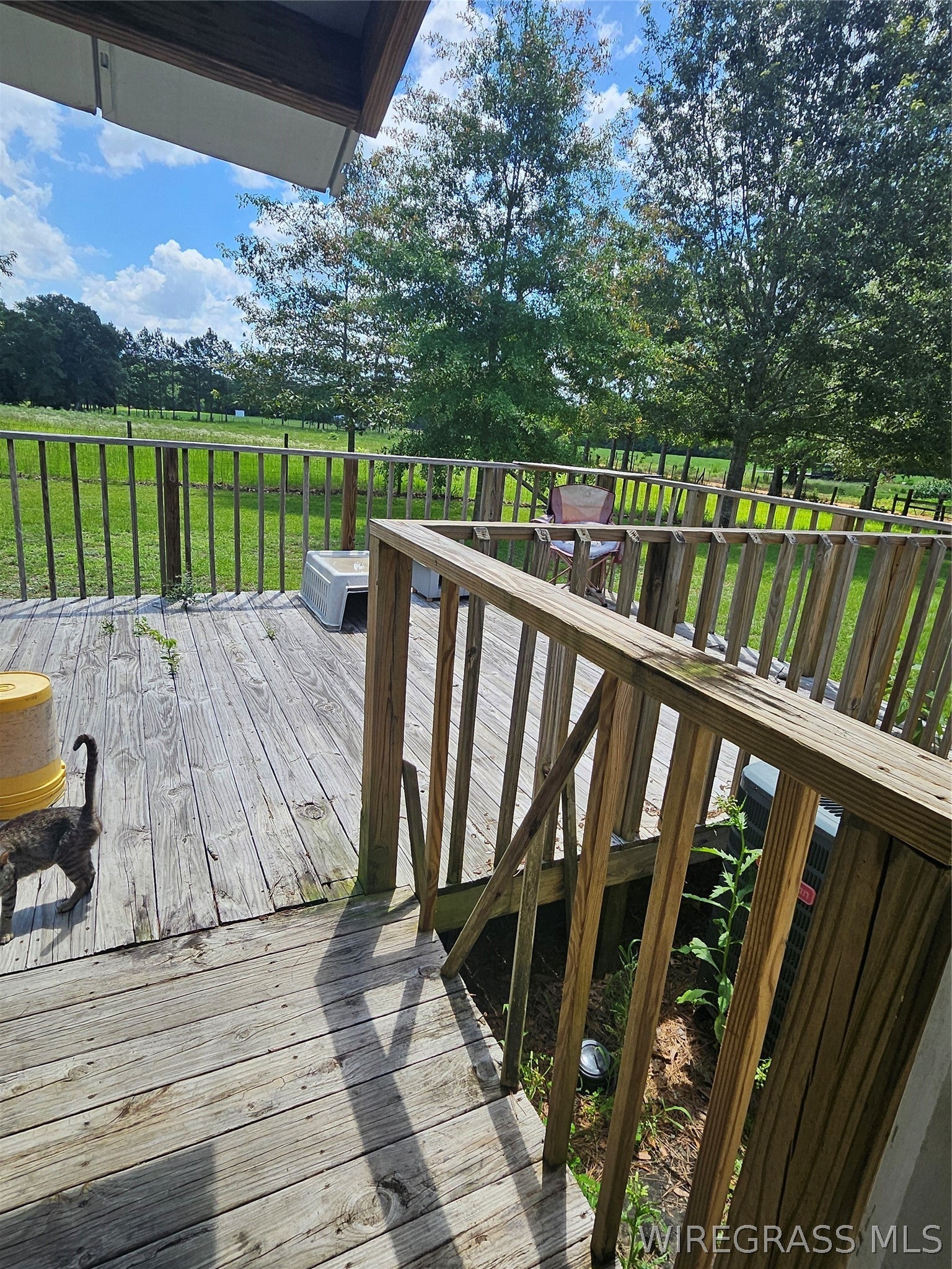 117 Buster Cowan Road Geneva, AL 36340 - Photo 6 of 22 Gallery Image 6